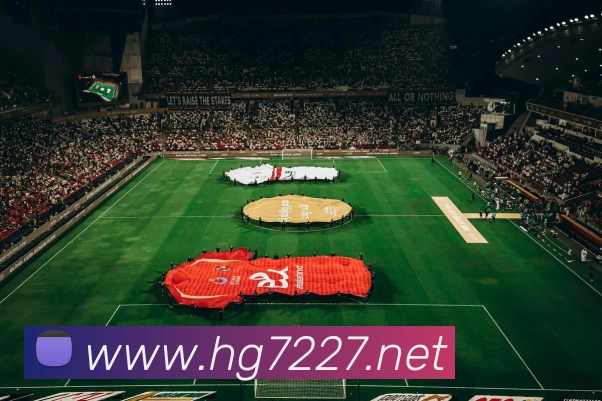 奖项证书